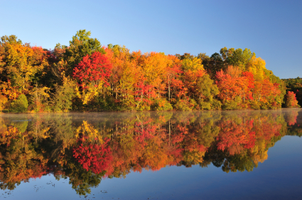 fall-foliage-minnesota.jpg